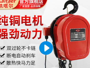 仓库货物装卸用环链电动香蕉视频APP官网